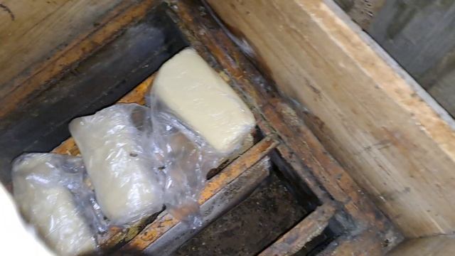 осмотр пчел январь 2025