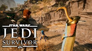 Star Wars Jedi: Survivor #13 - Азартные игроки