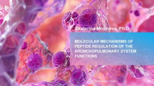 Molecular mechanisms of peptide regulation of the bronchopulmonary system functions.