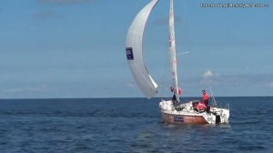 Atlantic Puffin - Maxus 22