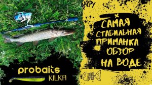 Лучшая приманка на щуку I Обзор на воде