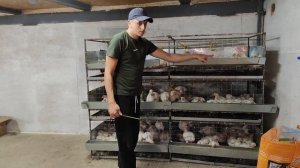 Клетка для бройлеров своими руками