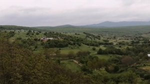 ЭНДИРЕЙ 2020 Г ОД