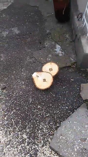 Первый заказ. Кружочки для дизайна смотреть онлайн