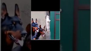 смешные моменты ч. 2 (только лучшее😂)