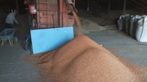 Посевная началась! Нужно ускориться - запускаем агрегаты. #17