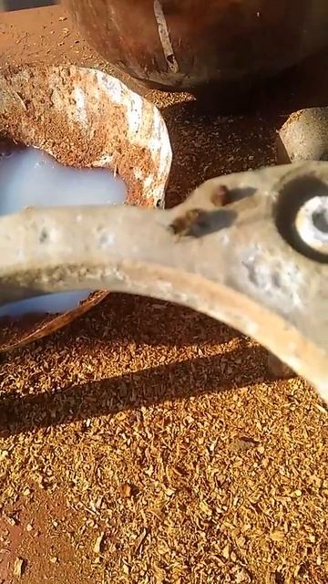 #весна идет. Первая #пчела в этом году! #shorts смотреть онлайн