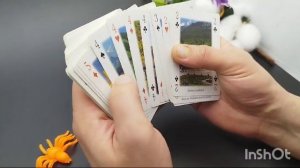 игральные карты сувенирные