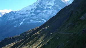 2021806-hd_1920_1080_24fps