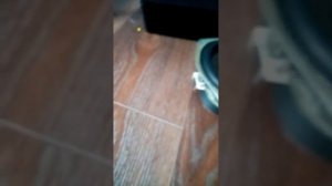 тест колонок