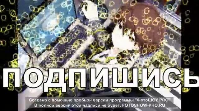 ПЕСНИ в гОлоВаХ аниматроников