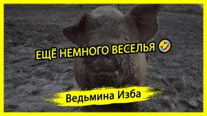 ЕЩЁ НЕМНОГО ВЕСЕЛЬЯ 🤣. #ВЕДЬМИНАИЗБА ▶️ #МАГИЯ