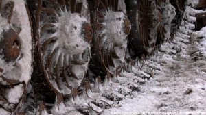 Чёрные лесорубы_17.01.2025_СольТВ