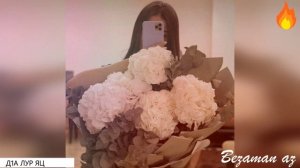 Красивая Песня Д1а Лур Яц😍