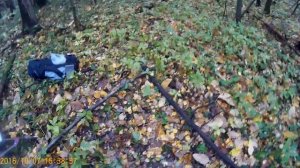 как научиться метко стрелять. совет таежного охотника-профессионала