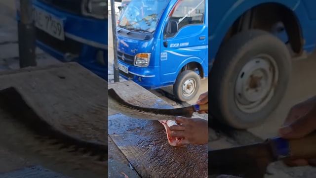 Fighter In The Sea | Barracuda Fish Slicing Skills 🇱🇰 | #Barracuda