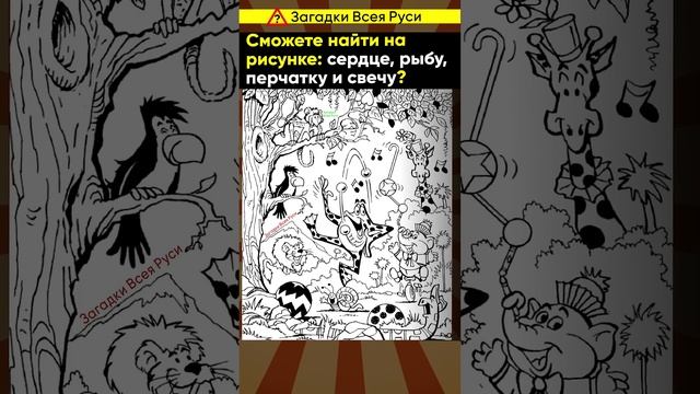 Финский тест на остроту зрения и старение мозга. Сможете найти все предметы? #shorts