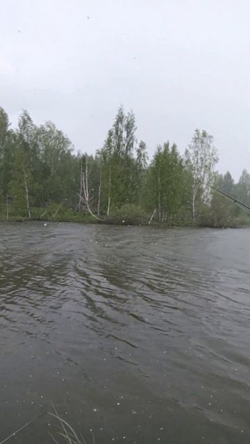 отчаянные рыбаки смотреть онлайн