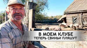 НЕОБЫЧНАЯ ДЕРЕВНЯ-ФЕРМА. Брянская область. д. Козинки; д. Ревны