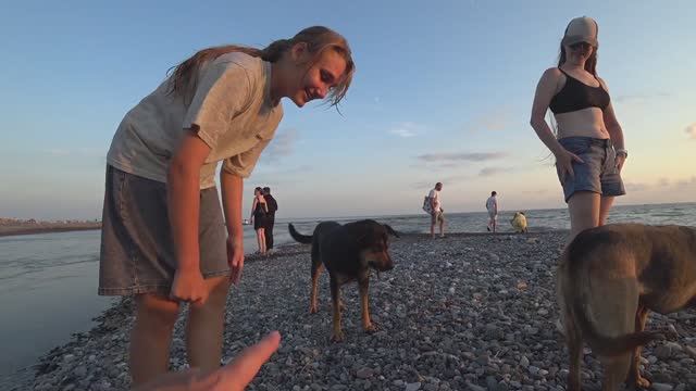 Адлер. Вечер. Устье Мзымты. Местные собачки. смотреть онлайн