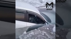 приморье ауди