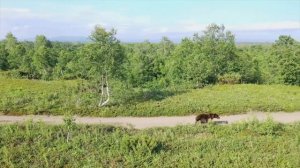 28 июля 2020 г.