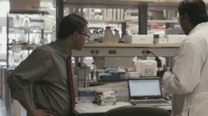 Пчелиный яд спасет от рака? (2014, США)