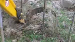 Podřezávací nůž na stromky a minirypadlo JCB 8018