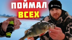 На этой рыбалке поймал всех!!! Крупного окуня, толстую плотву и злую щуку.