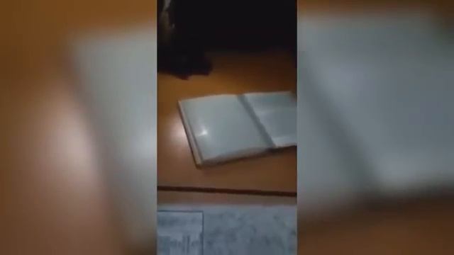 сборник приколов часть 27 смотреть онлайн