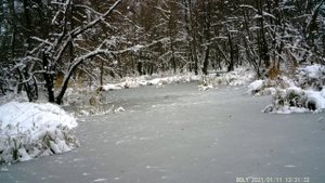 Как пришла зима