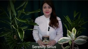 ПОСЛАНИЕ АНГЕЛА-ХРАНИТЕЛЯ 😇РАСКЛАД НА БЛИЖАЙШЕЕ БУДУЩЕЕ #таро ГАДАНИЕ ОНЛАЙН