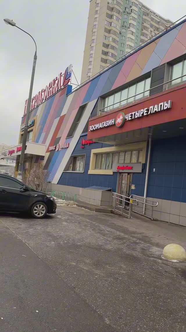 Москва 2025