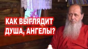 Как выглядит душа, ангелы?