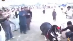 Лошадь танцует лезгинку 👏👏