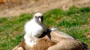 7282270-uhd_3840_2160_25fps