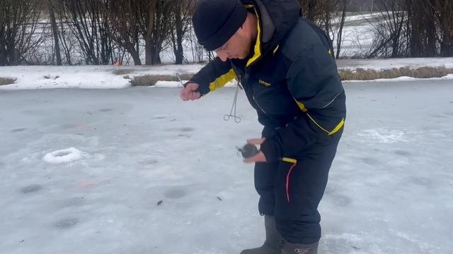 сегодня