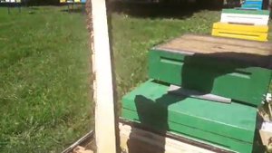 карпатка