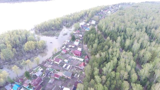 Калугино 06.2017 - облет территории СНТ "Обь"