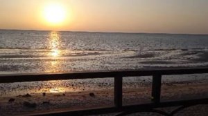 Ца к1ордош ас хьо кхойкхар ю