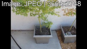 A Sad Fujifilm Digital Camera - Fujifilm FinePix A170