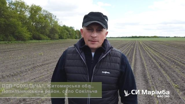 СИ МАРІМБА ФАО 240: фаза 3–5 листків смотреть онлайн