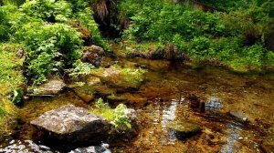 Поиск самородного Золота возле валунов на ручье!