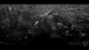 ВНУЧКА,ПОЧЕМУ ТЫ ЕЩЕ НЕ СПИШЬ! Страшные истории на ночь.Страшилки на ночь.