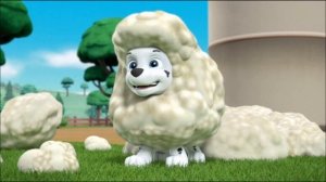 Мои любимые щенки в Щенячем патруле