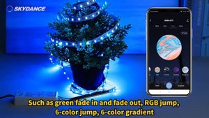 SKYDANCE WiFi+RF 5 in 1 LED controller WT5(Tuya)