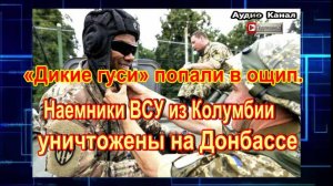 «Дикие гуси» попали в ощип. Наемники ВСУ из Колумбии уничтожены на Донбассе