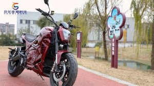 8000W 150KPH DUCATI Daviel X Motorcycle