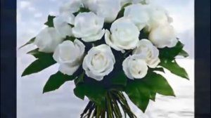 ziyafeddin xelilov yep yeni xow izlemeler2021