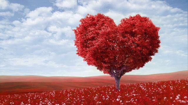 БЛИЗНЕЦОВЫЕ ПЛАМЕНА.НЕОБЫЧАЙНОЕ ЕДИНСТВО БЛИЗНЕЦОВЫХ ПЛАМЕН #близнецовыепламена #близнецовоепламя